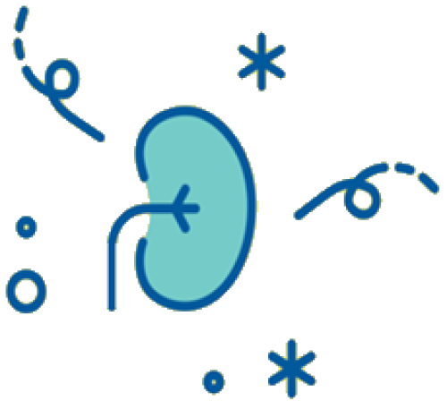 Receiving a new kidney is worthy of celebration! However, it is important to recognize that a transplant does not cure cystinosis and a new kidney comes with new responsibilities.