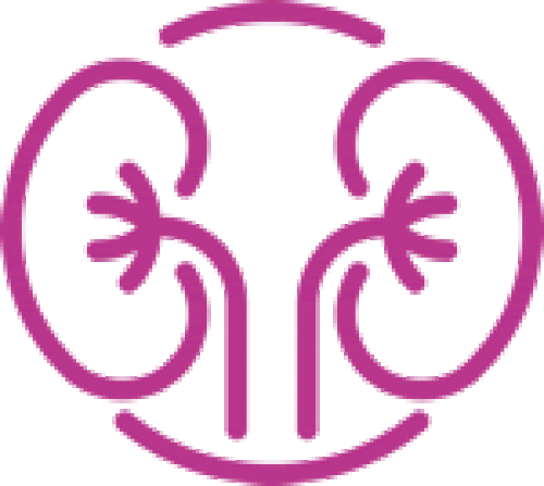 healthy_kidney
