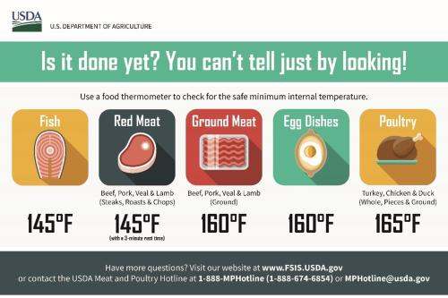 safe temperatures for cooking meat