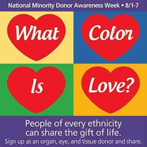 Advertisement for National Minority Donor Awareness Week with four quadrants with one word in each What Color is Love