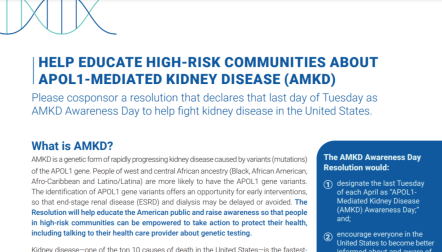 Background on AMKD PDF