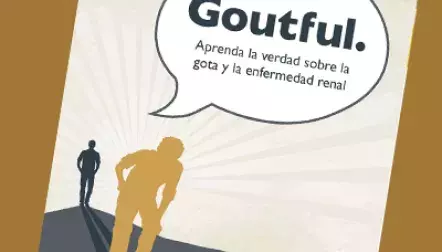 Gout and kidney disease booklet (Spanish)