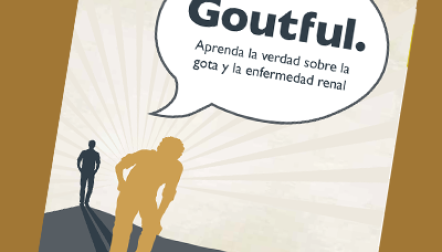 Gout and kidney disease booklet (Spanish)