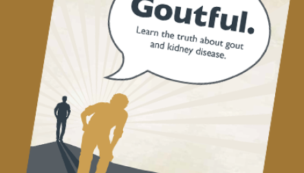Gout and kidney disease booklet