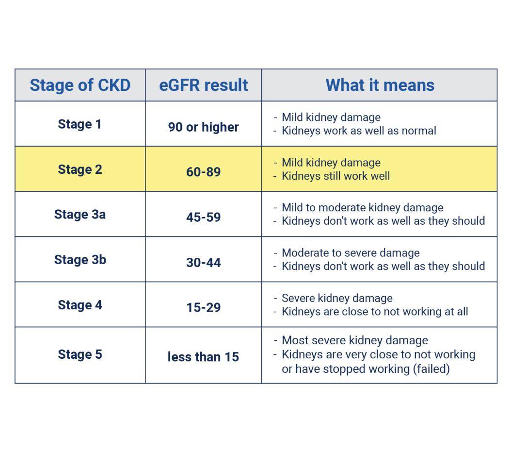 Chart of stage 2 kidney disease