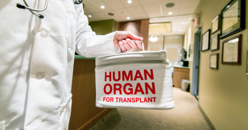 Doctor holding human organ bag
