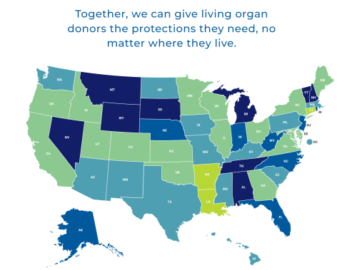 2023 AKF Living Donor Protection Report Card