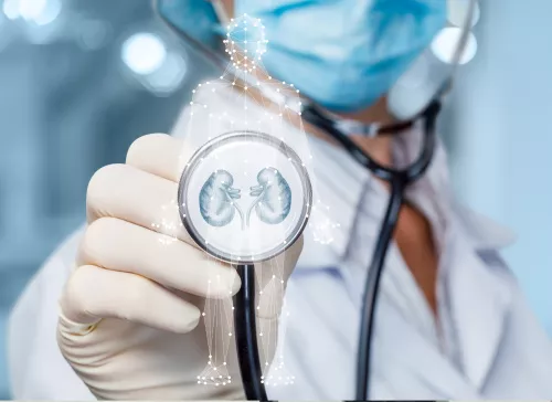 Health care worker with mask and gloves and stethoscope with kidneys image