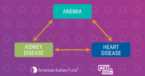 Anemia love triangle with Anemia, Heart Disease & Kidney Disease