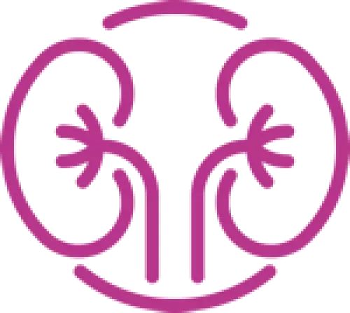 healthy_kidney