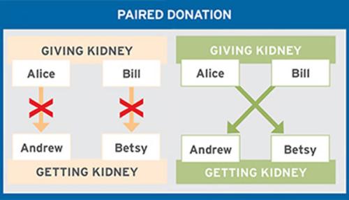 Paired Kidney Donation Graphic 