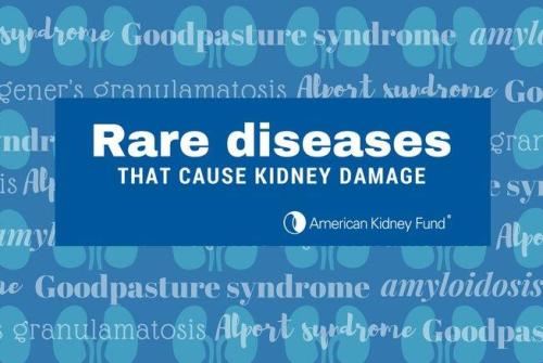 image that reads rare diseases that cause kidney damage
