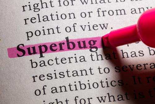 The word "Superbug" highlighted in a document
