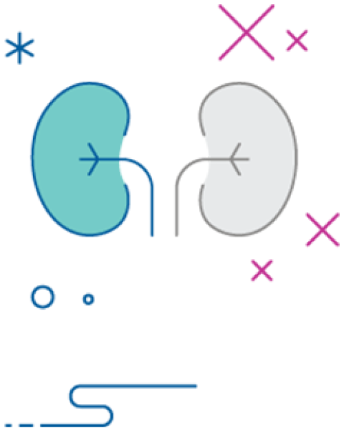 Icon of kidney transplant rejection