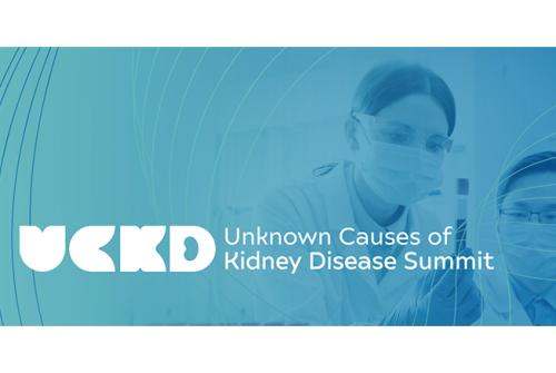 The log for the UCKD - Unknown Causes of Kidney Disease Summit.