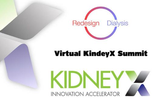 Graphic advertising the VIrtual Kidney Summit
