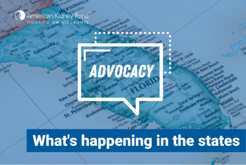 Speech bubble with Advocacy inside overtop a map of the state of Florida