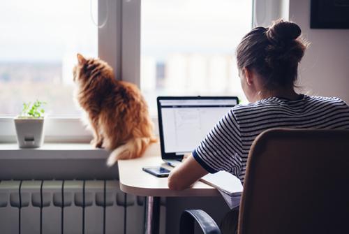 woman working at home with cat looking out of window