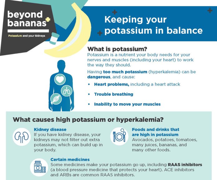 Keeping your potassium in balance graphic