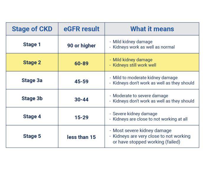 Chart of stage 2 kidney disease