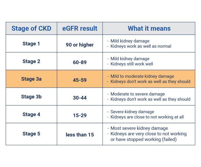 Chart of stage 3 kidney disease