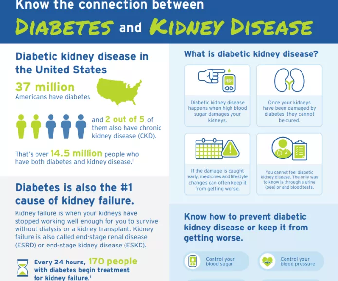 Diabetes and kidney disease factsheet