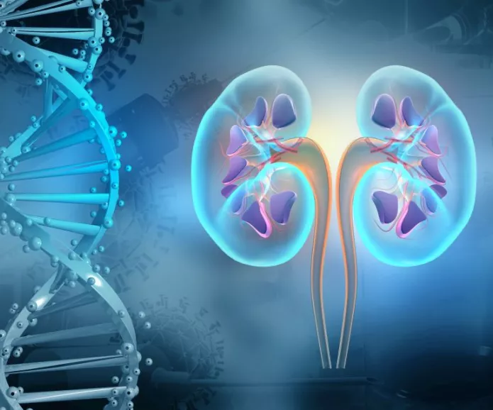 Genetics and kidney disease