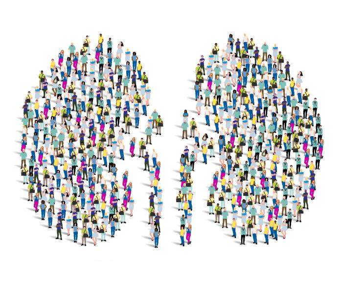 Graphic of two kidneys made of people