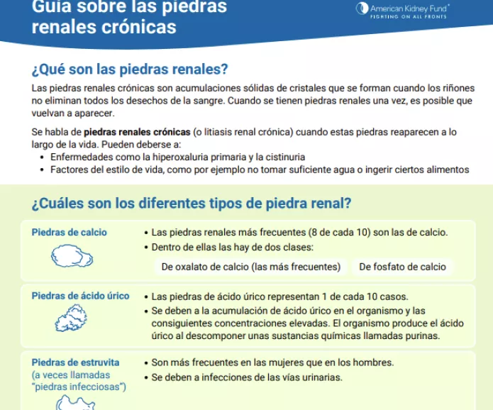 Cover of Spanish kidney stone guide