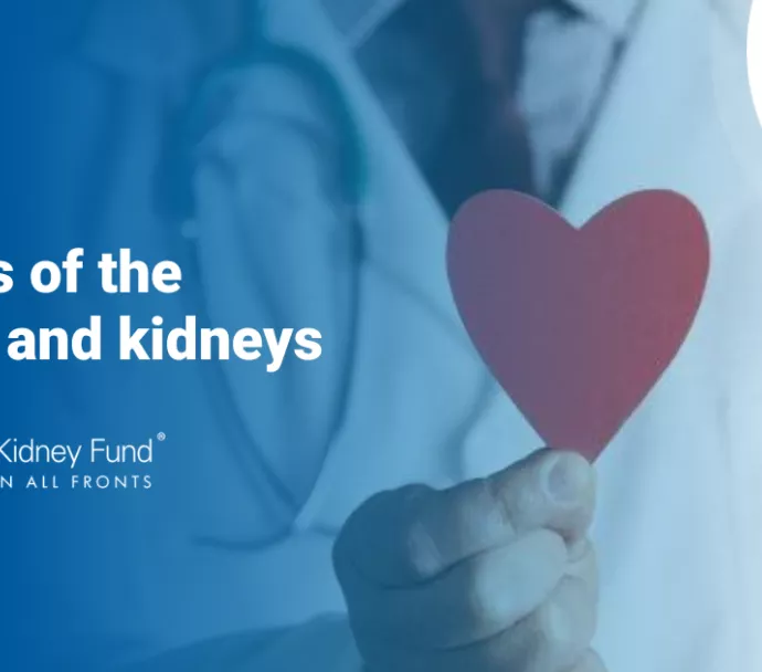 doctor with lab coat holding paper heart, blue overlay with text