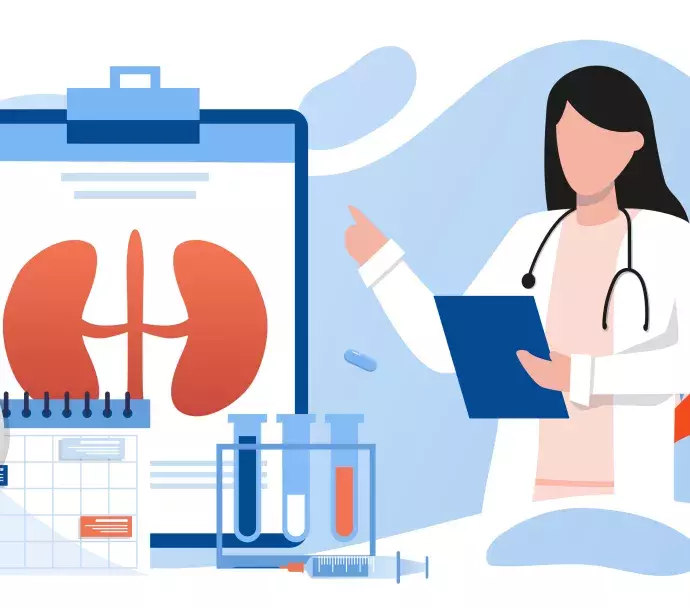 icon doctor with kidney chart