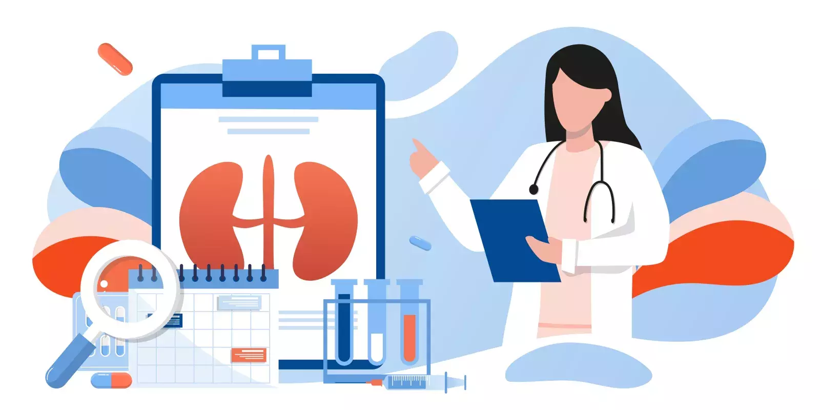 icon doctor with kidney chart