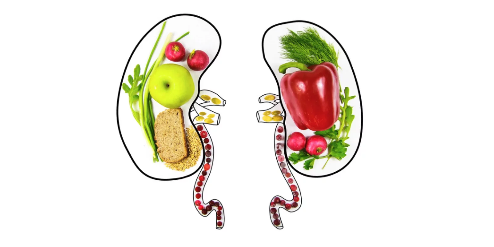 kidney-diet-outline.webp (1600×800)