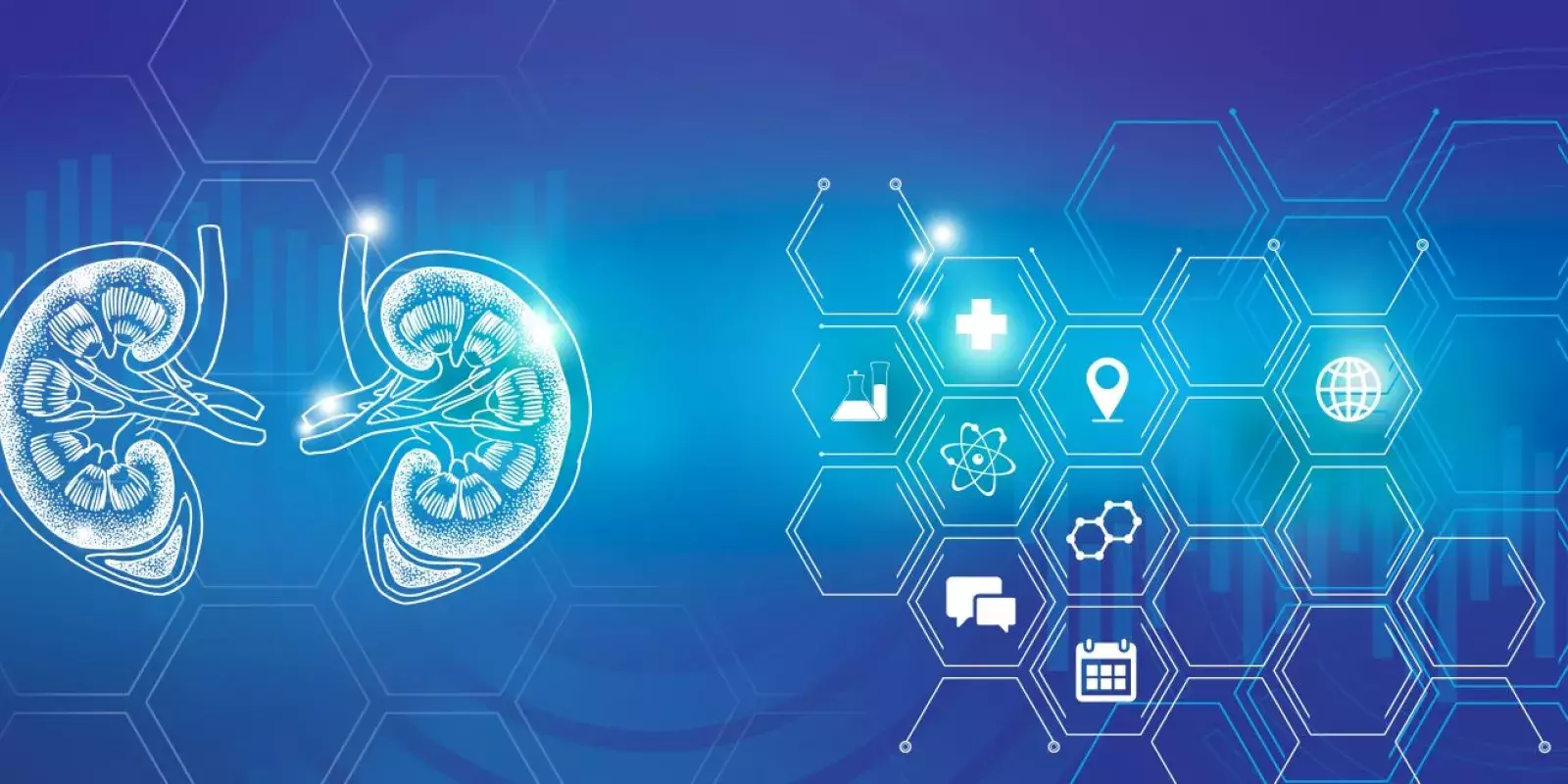 Kidney disease innovation and research