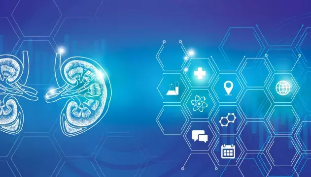 Kidney disease innovation and research