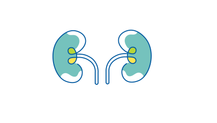 two kidneys
