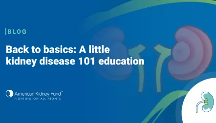 Kidneys with blue text overlay, "Back to basics: A little kidney disease 101 education"