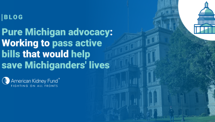 Michigan state house with blue text overlay "Pure Michigan advocacy"
