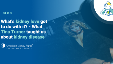 Tina Turner record and sleeve with blue text overlay "What's kidney love got to do with it?"