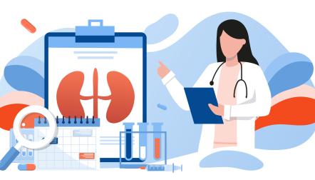 icon doctor with kidney chart