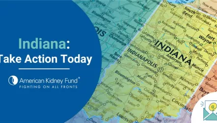 LYIGcbcFSxg7BttKMeQo_IN1