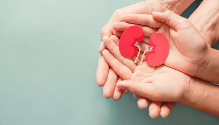 Kidney donation and transplant