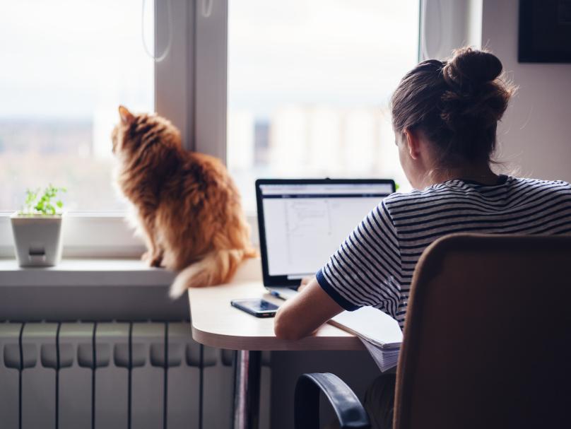 white woman at computer with cat shutterstock 1071472322  1